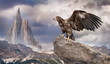 an eagle sits on a rock in the winter mountains