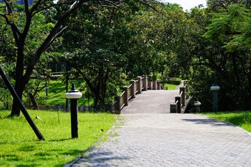 Canvas Print - path in the park