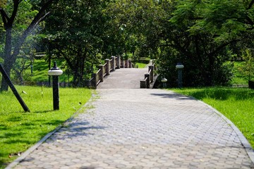 Canvas Print - path in the park