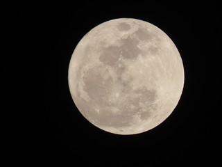 moon in the sky