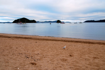 view from sandy beach over Bay of Islands on New Zealands North Island