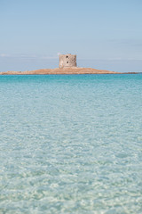 Wall Mural - STINTINO, SARDINIA / OCTIBER 2019: View of the wonderful beach by the Asinara island