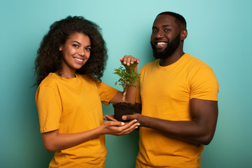 Wall Mural - Happy couple protect a small tree. Concept of forestation, ecology and conservation