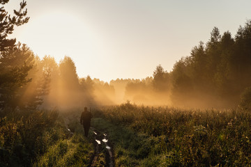 bird hunter at sunrise going for hunt in a forest with his shotgun rifle.