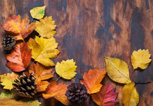 Fallen Leaves On Wooden Background, Top View, Copy Space