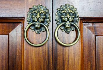 Old door with metal lion head knocker,ancient knocker