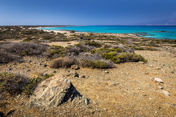 Chrissy island scenery on a sunny summer day with dry trees, brown soil and blue clear sky with haze.