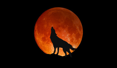 wolf howling at the big full blood moon
