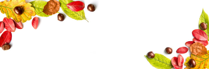 Wall Mural - colorful autumnal leaves and nuts on white panoramic background with copy space. autumn web banner