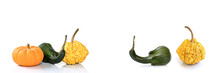 Decorative Pumpkins And Colocynths Isolated On Panoramic White Background, Autumn Web Banner
