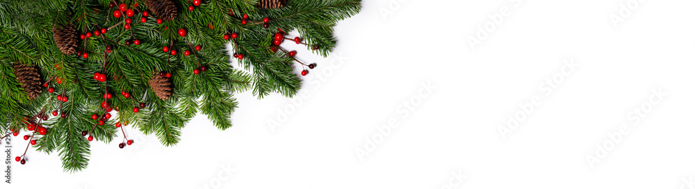 Fir tree branch frame on white Stock Photo | Adobe Stock