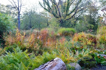 Wall Mural - small pond with landscaped planting on the edge