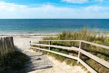 Wall Mural - well-kept wooden beach access leading through sand dunes to an empty beach