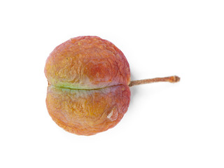 Poster - Shriveled plum isolated