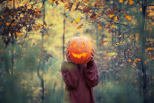 Boy holding carved pumpkin for halloween in front of his head in dark autumn forest.