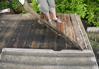 Sticker - Roofer repair and renovation old asbestos roof. Old house roof with bad wet wooden beams. Roofing construction