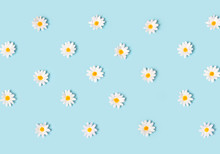 Fabric Daisy Flower Polka Dot Pattern On Pastel Blue Background