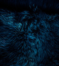 Luxury Blue Fur Fabric Texture With Light Reflections Over Surface