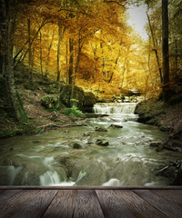 Wall Mural - forest waterfall