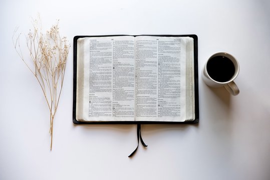 Overhead shot of an open book in the middle of a coffee and a dry grass on a white surface