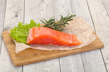 Piece of raw salmon