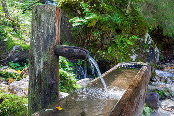 This mountain fountain is fed by a spring rushing down the steep hills of the alps.g