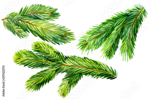 Fotografía watercolor drawing, set of a spruce branch on a white background