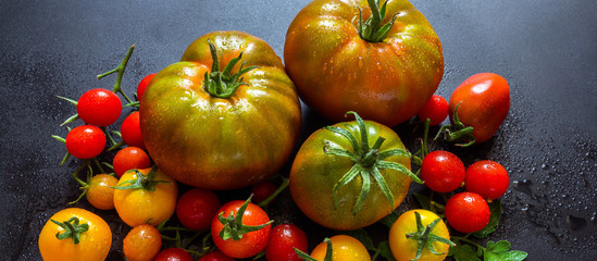 Wall Mural - Food Vegetables. A composition of fresh tomato and leaf varieties on a dark background with a copy space. A frame pattern. Flat lay top view