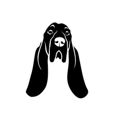 Basset Hound Dog - Isolated Vector Illustration