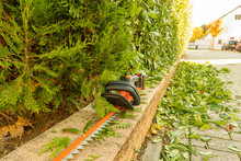 Electric Hedge Trimmer On The Wooden Terrace With Cherry Floor Berry