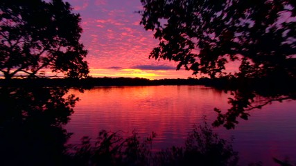 Wall Mural - Amazing predawn twilight sunrise fly through silhouetted trees to reveal colorful sky reflected in tranquil water.