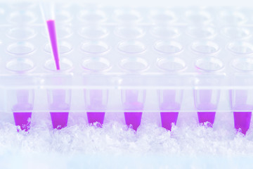 Professional tools to amplify DNA for genetic analysis. Science and technology background with copy-space. Plastic tube, pipette tip and plastic wells filled in with purple reaction mixture.