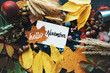 Hello november. frame of autumn decor Poster card  filter  grunge image	