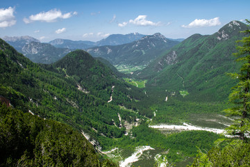 Wall Mural - Forest covering the Jezersko Valley in Slovenia