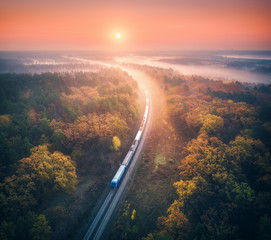 Wall Mural - train in beautiful forest in fog at sunrise in autumn. aerial view of commuter train in fall. colorf
