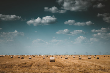 Sticker - bales of straw on field