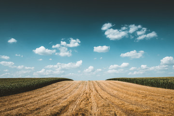 Sticker - field and blue sky