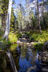 Canvas Print - Yosemite Fall 2019