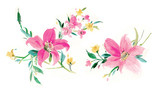Fototapeta Do przedpokoju - Flowers watercolor illustration.Manual composition.Big Set watercolor elements.