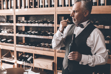 Sommelier Concept. Senior man standing opening wine bottle smelling cork pensive