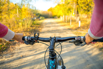 Wall Mural - Mountain biking down hill descending fast on bicycle. View from bikers eyes.