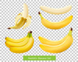 Set of different bananas. 3d realistic - vector isolated on transparent background.