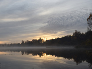 Wall Mural - foggy morning landscape with lake and trees on shore. Beautiful glare, blurry background and blurry foreground
