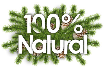 Wall Mural - 100 % natural in christmas background - pine branchs