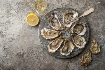 Sticker - opened fresh raw oysters on gray plate served with lemon and white wine