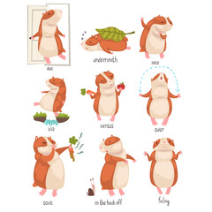 Poster - English Language Prepositions of Place and Cute Hamster Character Set, Educational Visual Material for Children Education Vector Illustration