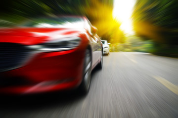 Cars pass through the forest from asphalt road