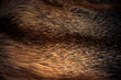 luxury fox fur fabric texture with multicolor reflections over surface