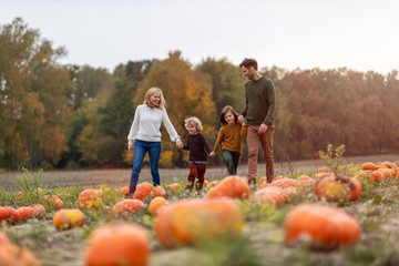 Happy young family in pumpkin patch field