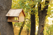 The Birdhouse On The Tree In Autumn Park